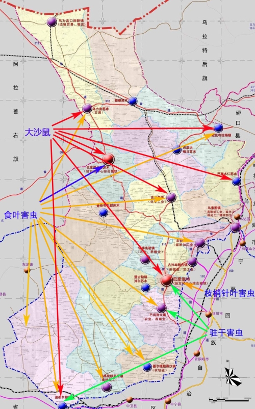 阿拉善左旗2019年林业有害生物发生情况及2020年趋势预测